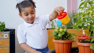 STEM in Early Years Learning UAE